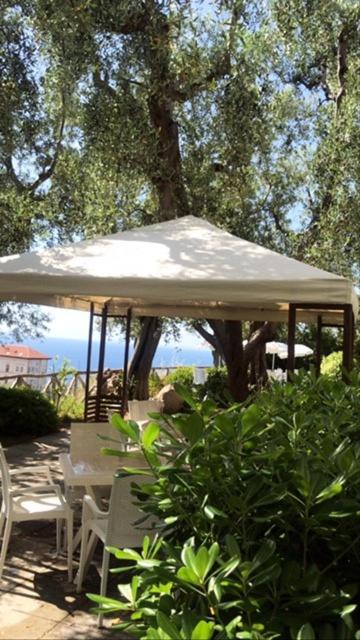 Hotel Villa Pina Antico Francischiello Massa Lubrense Zewnętrze zdjęcie